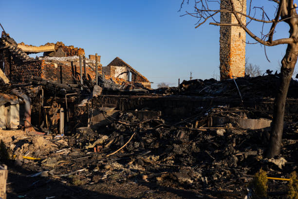 Reliable Fire Damage Repair contractor in Fort Myers Beach, FL by Fire Damage Doption